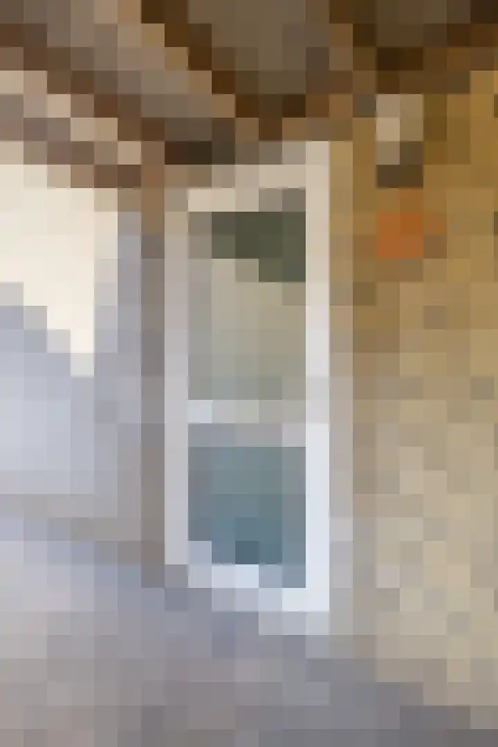 Vlinderkleuven 52 Assen thumbnail 8