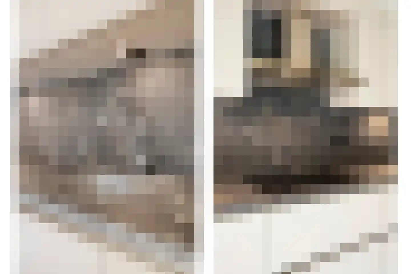 Vlinderlaan 1 Son en Breugel thumbnail 23