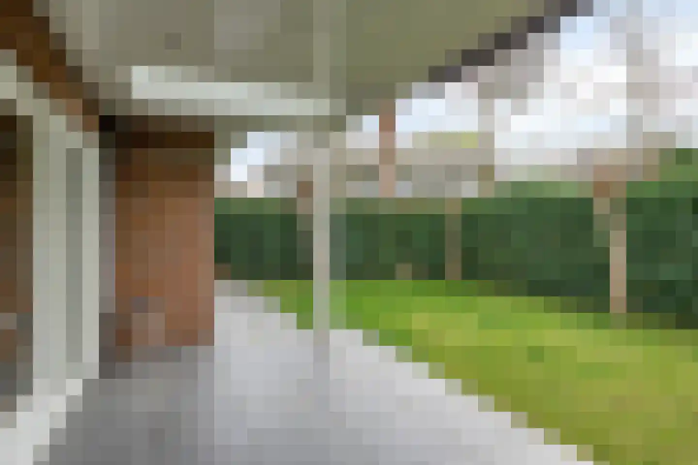 Vlinderlaan 1 Son en Breugel thumbnail 41