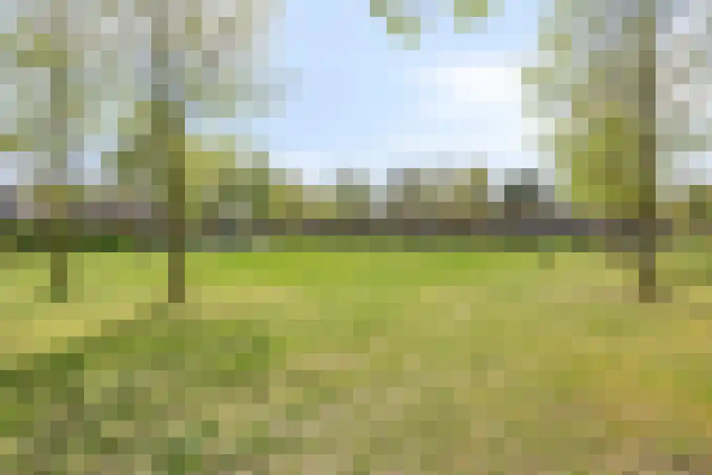 Vlinderlaan 1 Son en Breugel thumbnail 44