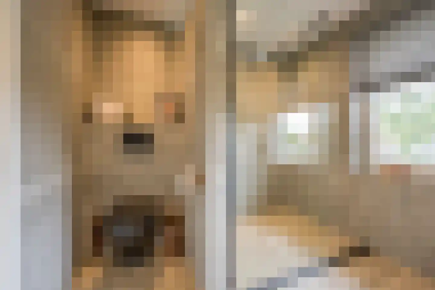 Vlinderlaan 138 Nijkerk thumbnail 22
