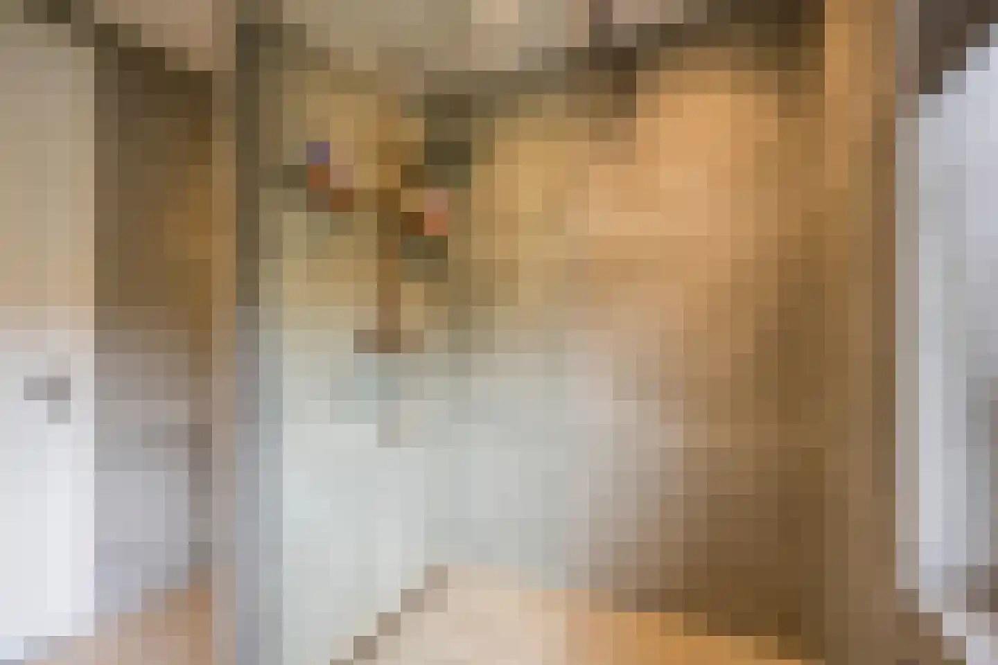 Vlinderlaan 138 Nijkerk thumbnail 23