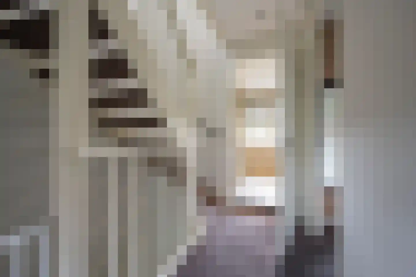 Vlinderlaan 138 Nijkerk thumbnail 24
