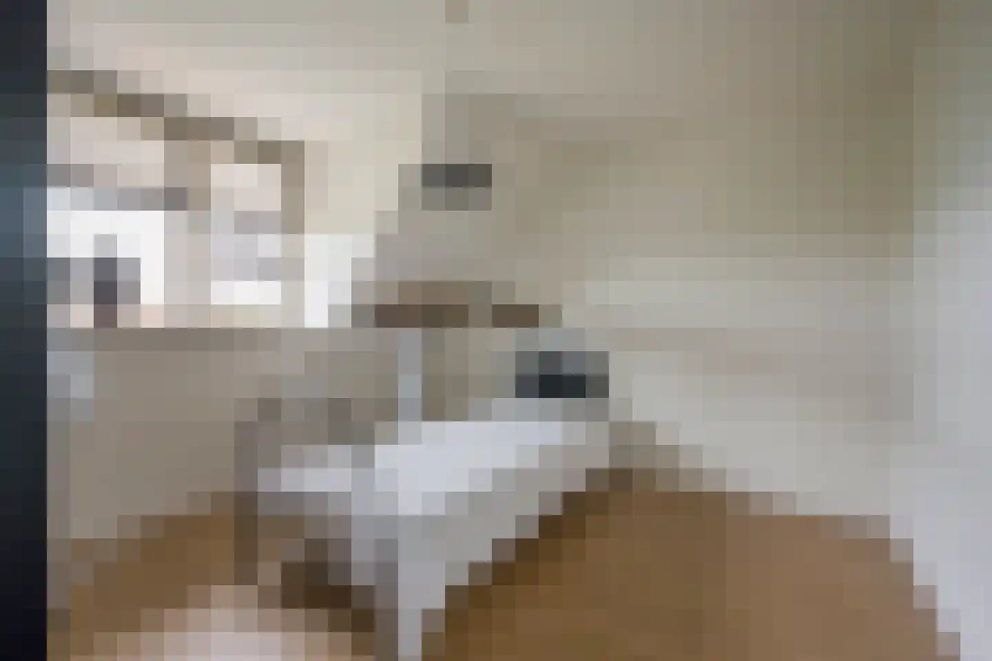 Vlinderlaan 138 Nijkerk thumbnail 31