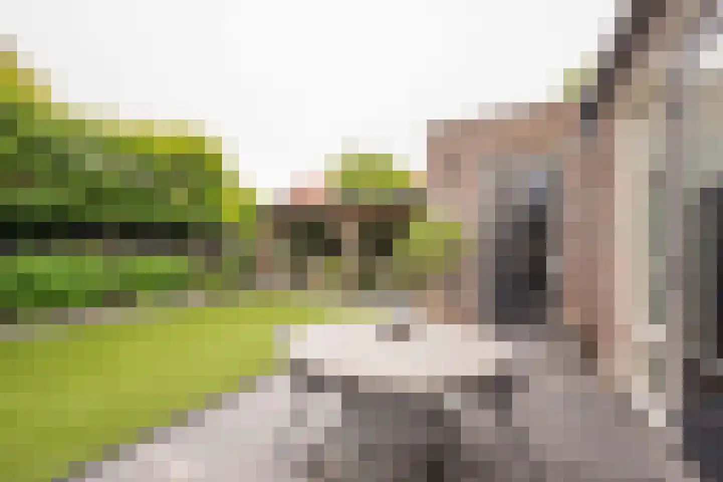 Vlinderlaan 138 Nijkerk thumbnail 41