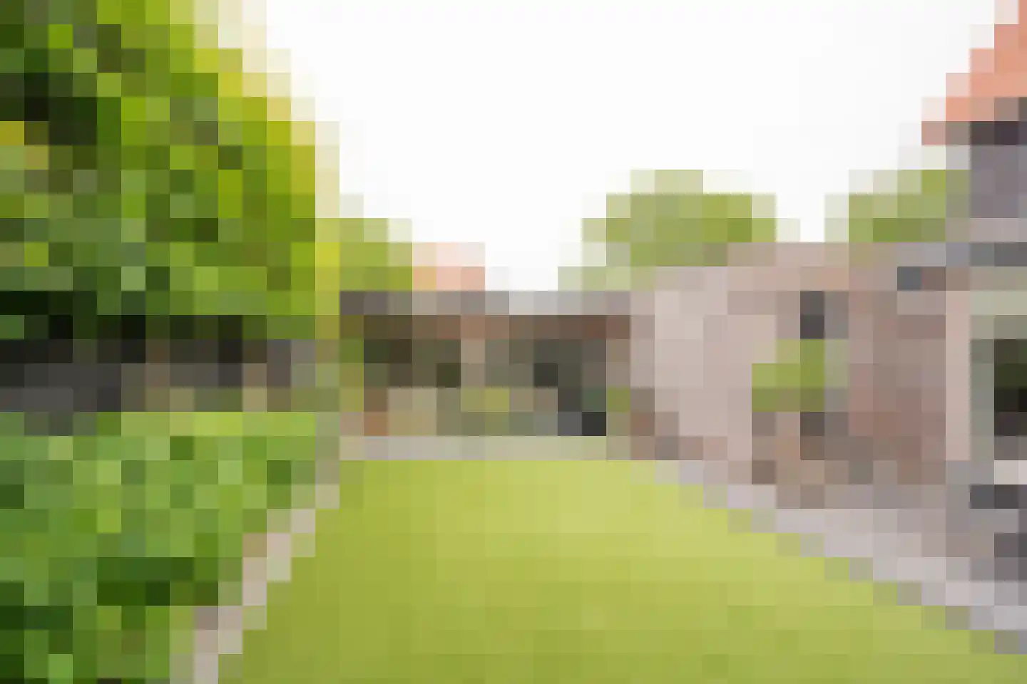 Vlinderlaan 138 Nijkerk thumbnail 43