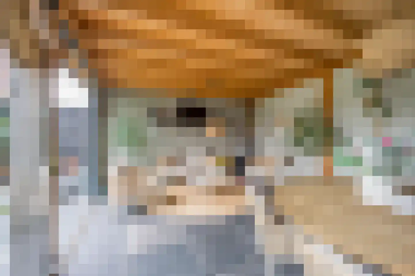 Vlinderlaan 138 Nijkerk thumbnail 45