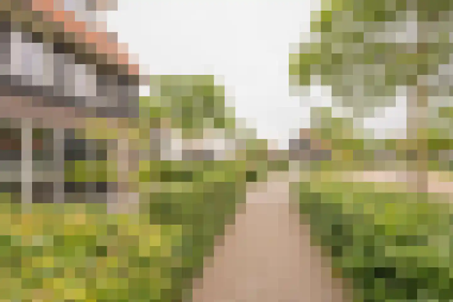 Vlinderlaan 138 Nijkerk thumbnail 51