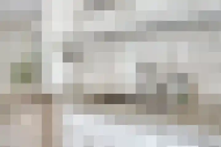 Vlinderlaan 15 Son en Breugel thumbnail 17
