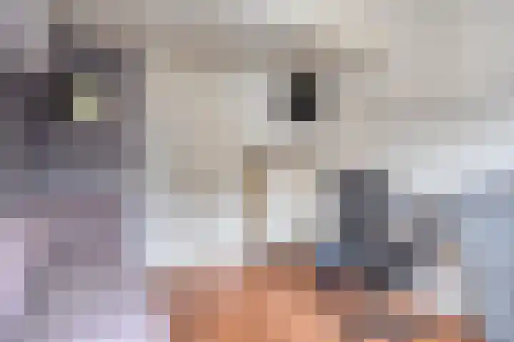 Vlinderlaan 15 Son en Breugel thumbnail 20