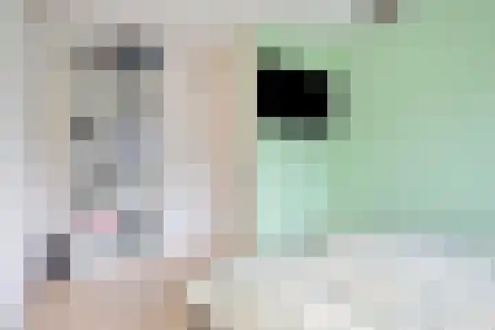 Vlinderlaan 15 Son en Breugel thumbnail 28