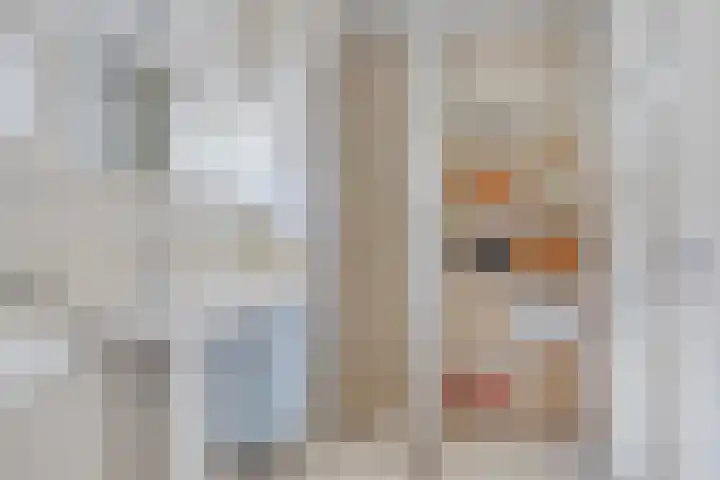 Vlinderlaan 15 Son en Breugel thumbnail 33