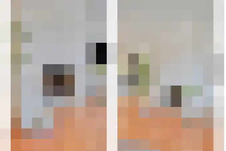 Vlinderlaan 15 Son en Breugel thumbnail 8