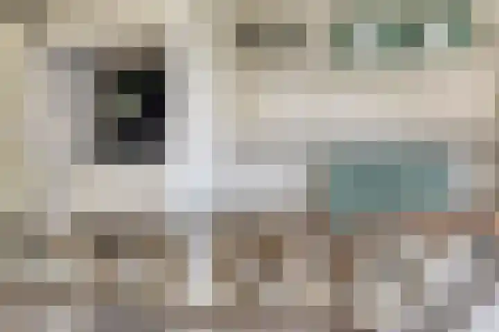 Vlinderlaan 16 Terneuzen thumbnail 10