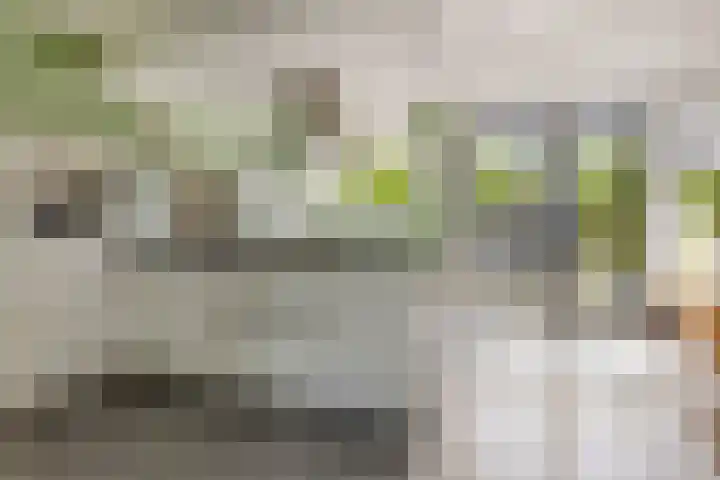 Vlinderlaan 16 Terneuzen thumbnail 12