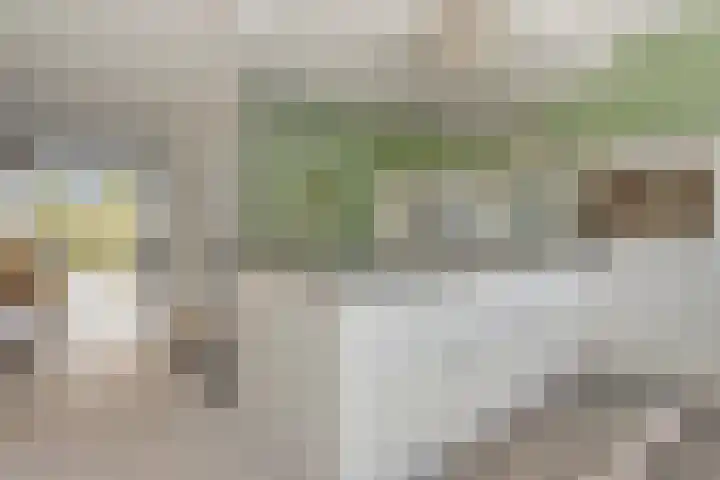 Vlinderlaan 16 Terneuzen thumbnail 13