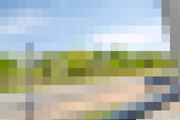 Vlinderlaan 16 Terneuzen thumbnail 17