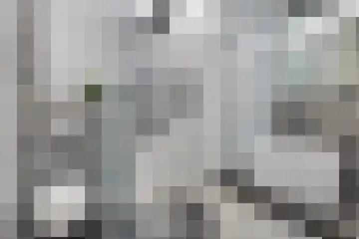 Vlinderlaan 16 Terneuzen thumbnail 20