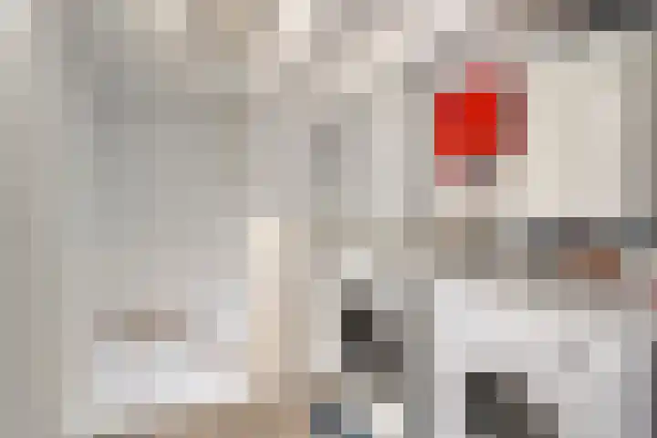 Vlinderlaan 16 Terneuzen thumbnail 25
