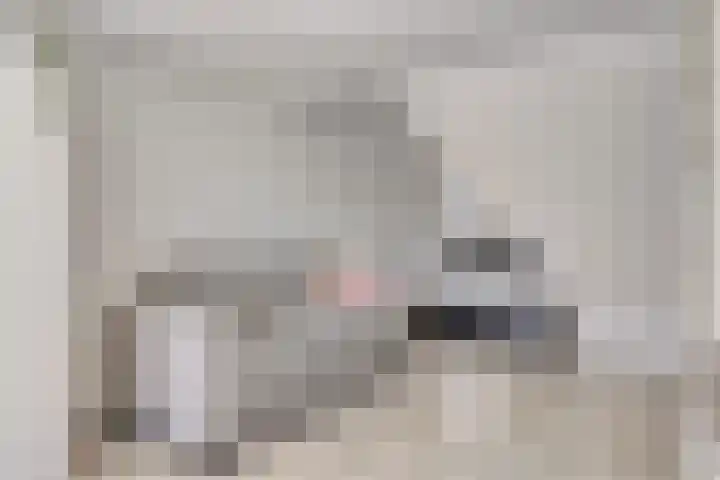 Vlinderlaan 16 Terneuzen thumbnail 26