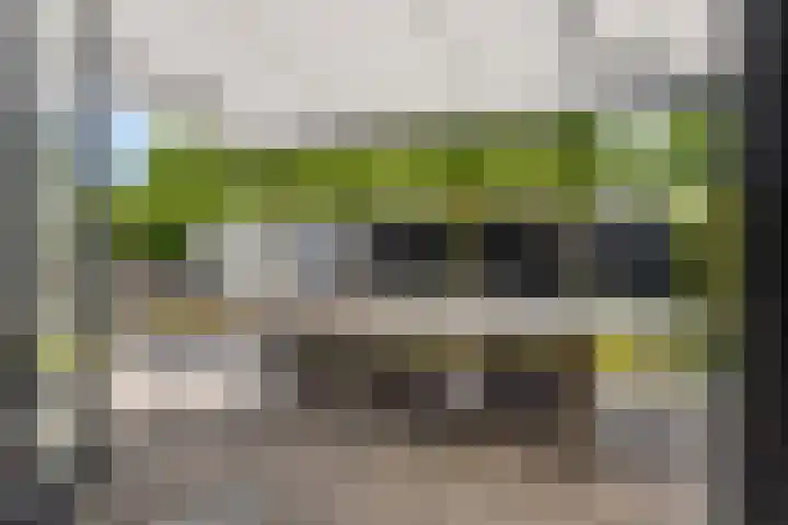 Vlinderlaan 16 Terneuzen thumbnail 28