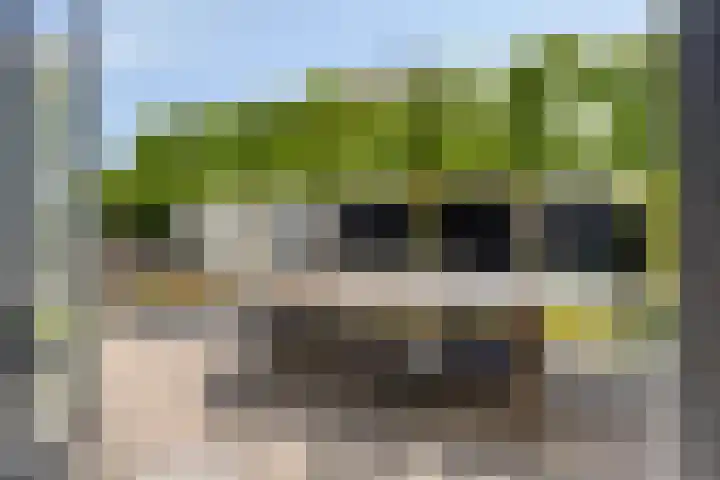 Vlinderlaan 16 Terneuzen thumbnail 29
