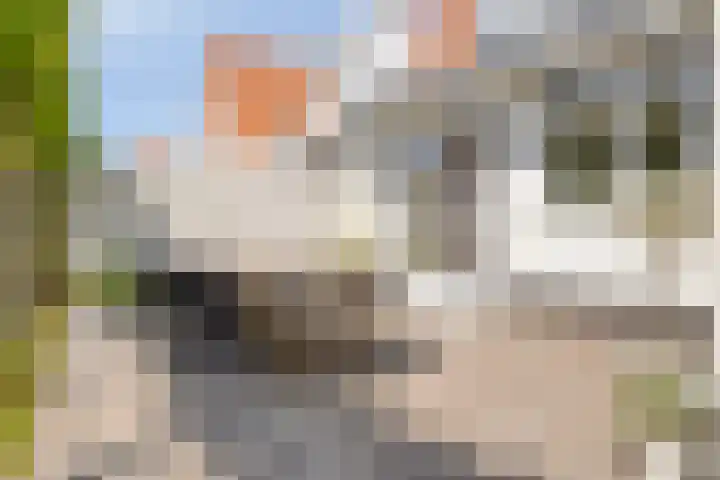 Vlinderlaan 16 Terneuzen thumbnail 30