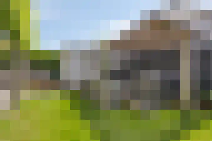Vlinderlaan 16 Terneuzen thumbnail 31