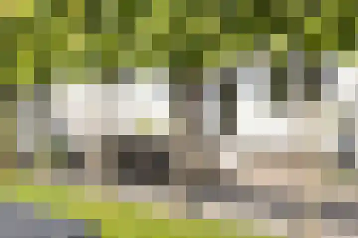 Vlinderlaan 16 Terneuzen thumbnail 32