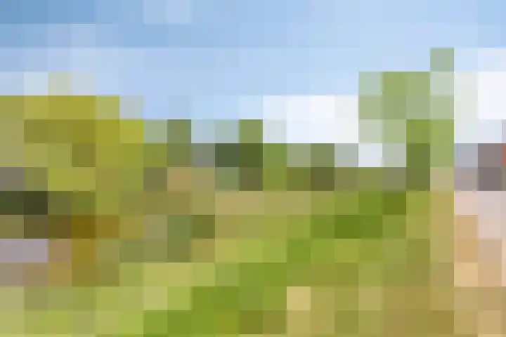 Vlinderlaan 16 Terneuzen thumbnail 37