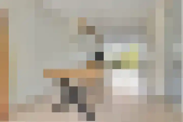 Vlinderlaan 16 Terneuzen thumbnail 8