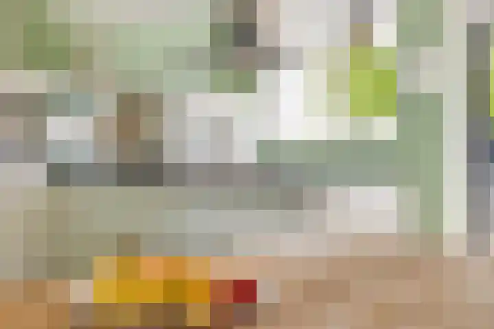 Vlinderlaan 16 Terneuzen thumbnail 9