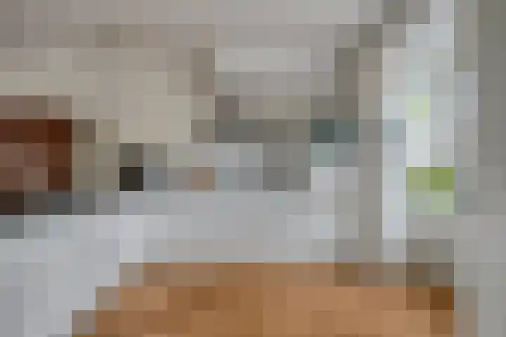 Vlinderlaan 20 Rosmalen thumbnail 12