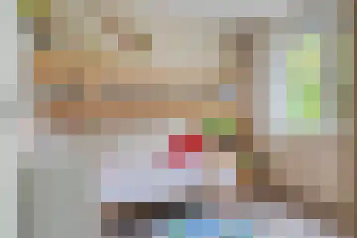Vlinderlaan 20 Rosmalen thumbnail 17