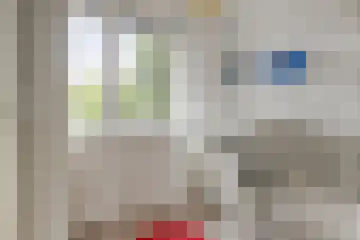 Vlinderlaan 20 Rosmalen thumbnail 19