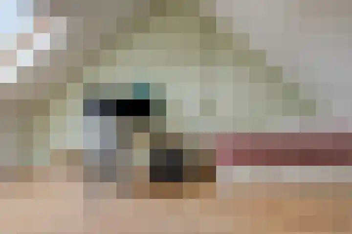 Vlinderlaan 20 Rosmalen thumbnail 24