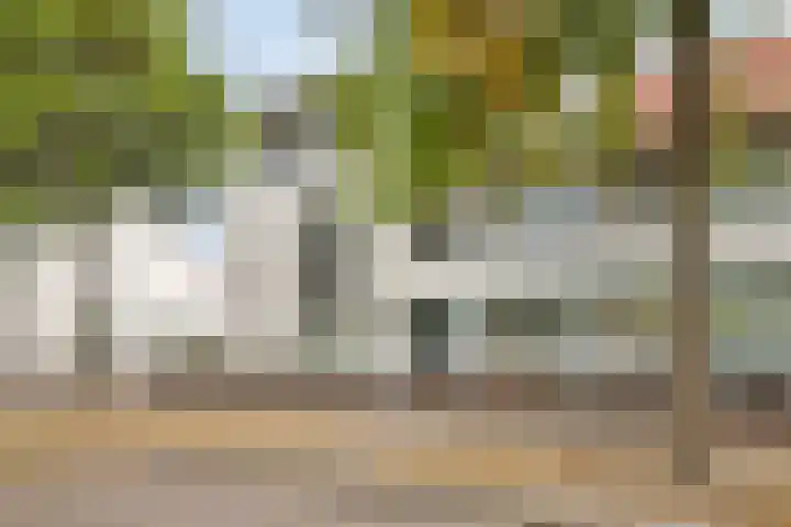 Vlinderlaan 20 Rosmalen thumbnail 30