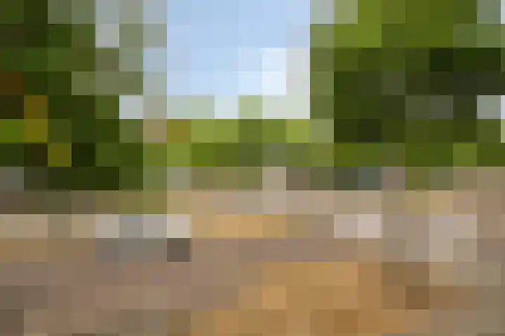Vlinderlaan 20 Rosmalen thumbnail 32
