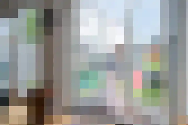 Vlinderlaan 20 Rosmalen thumbnail 8