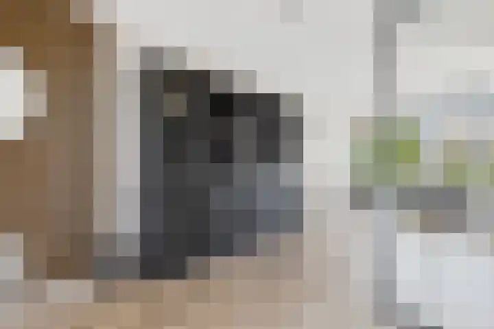 Vlinderlaan 24 Terneuzen thumbnail 10