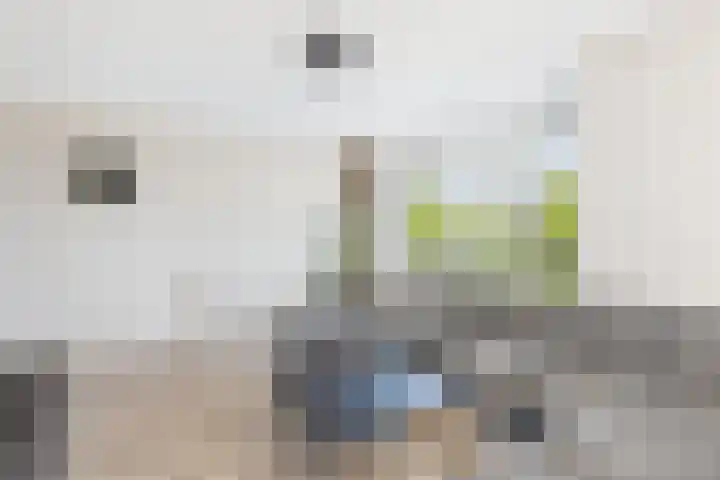 Vlinderlaan 24 Terneuzen thumbnail 13