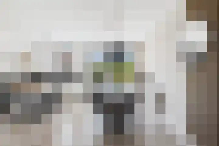 Vlinderlaan 24 Terneuzen thumbnail 14