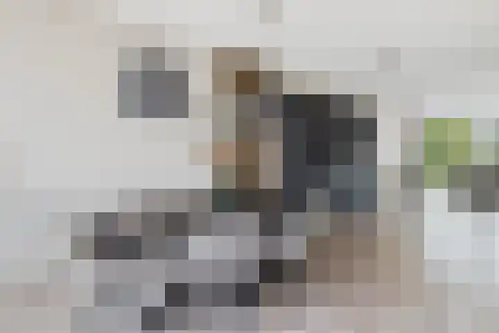 Vlinderlaan 24 Terneuzen thumbnail 16