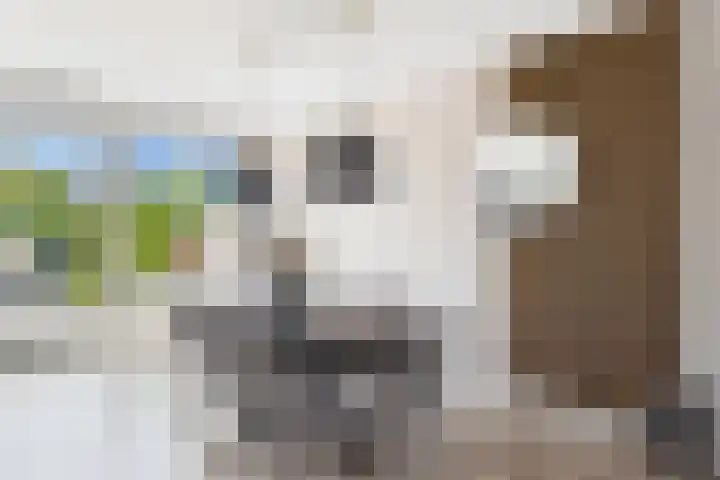 Vlinderlaan 24 Terneuzen thumbnail 17