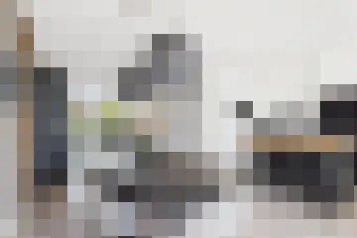 Vlinderlaan 24 Terneuzen thumbnail 18