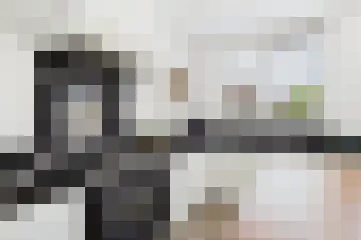 Vlinderlaan 24 Terneuzen thumbnail 21