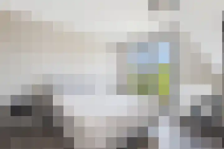 Vlinderlaan 24 Terneuzen thumbnail 23