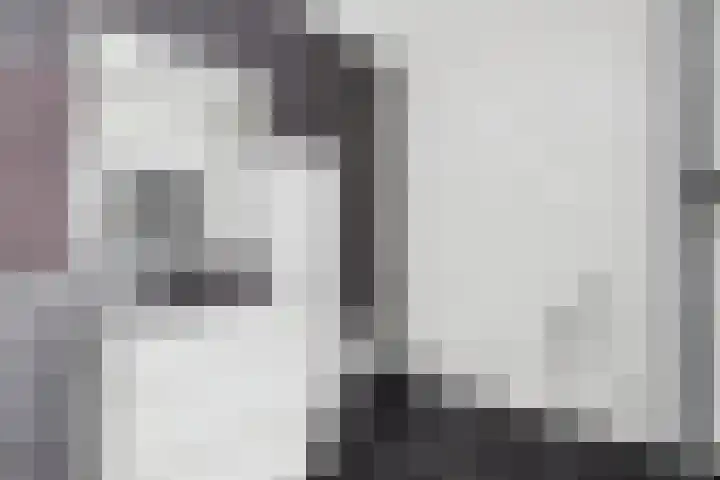 Vlinderlaan 24 Terneuzen thumbnail 32