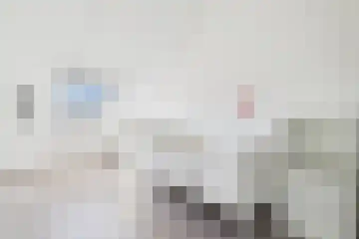 Vlinderlaan 24 Terneuzen thumbnail 35