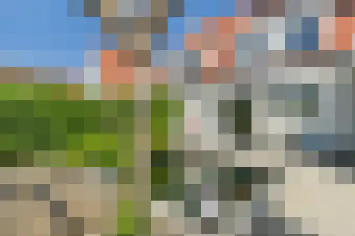 Vlinderlaan 24 Terneuzen thumbnail 37